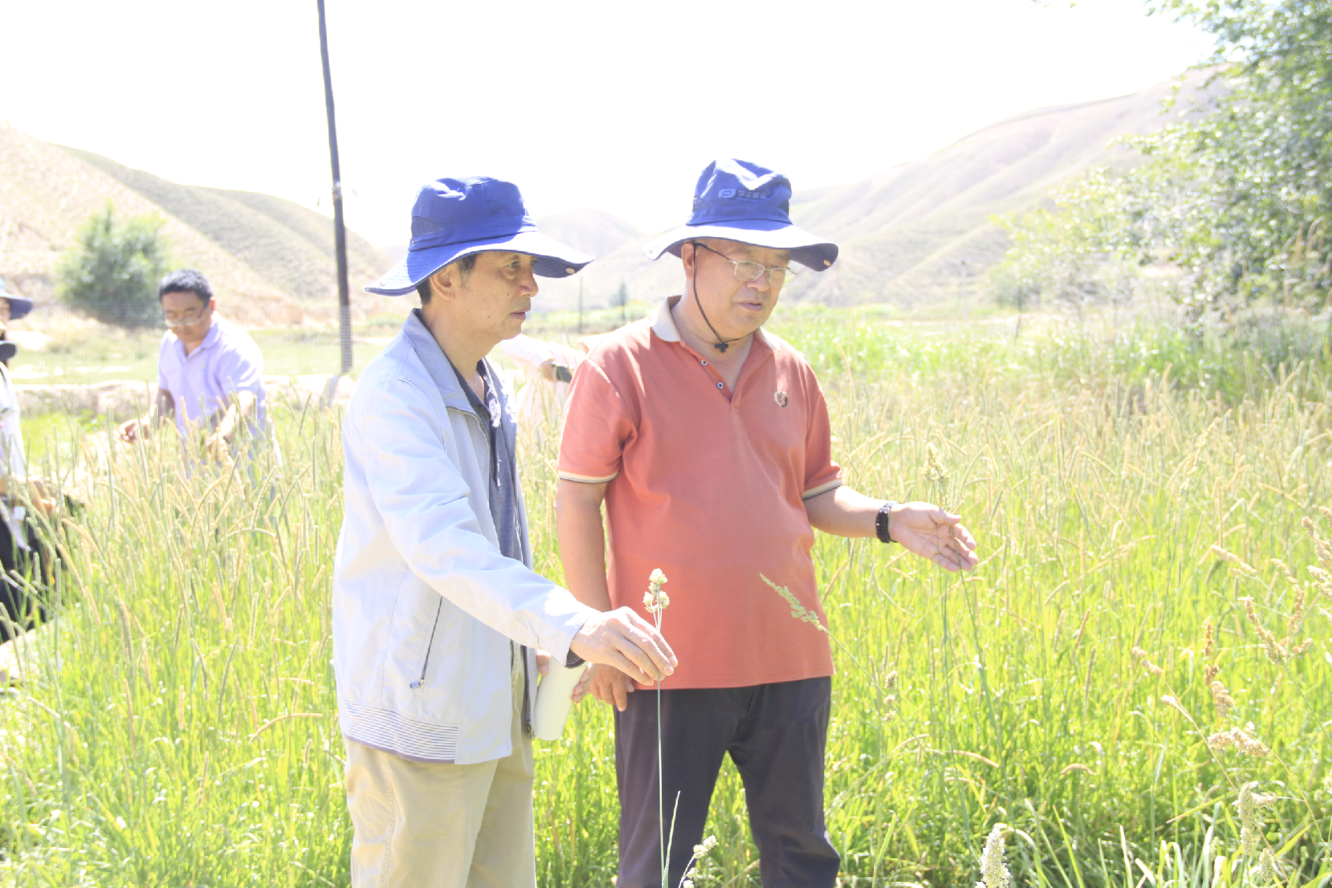 图片4.png