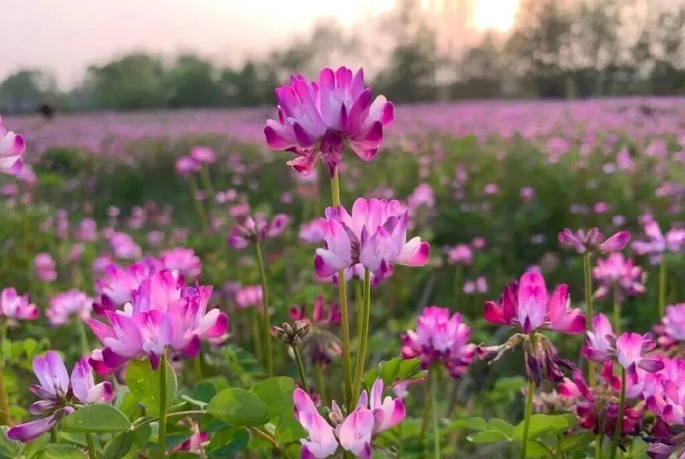 1772781758220602
